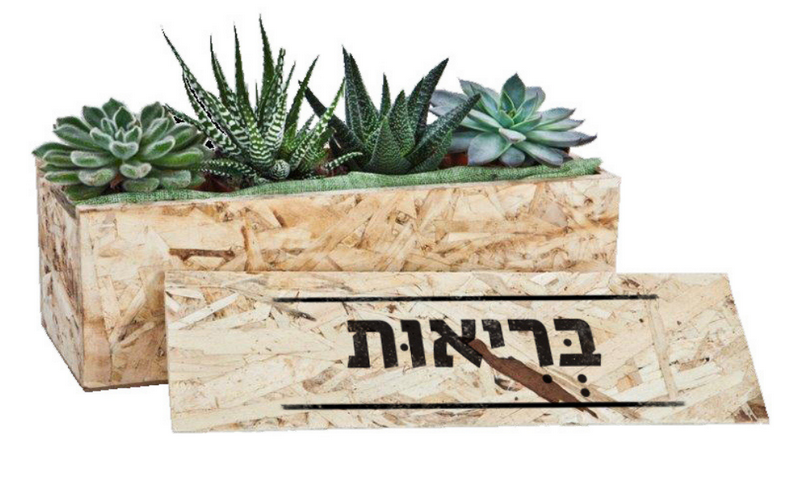מתנות חג